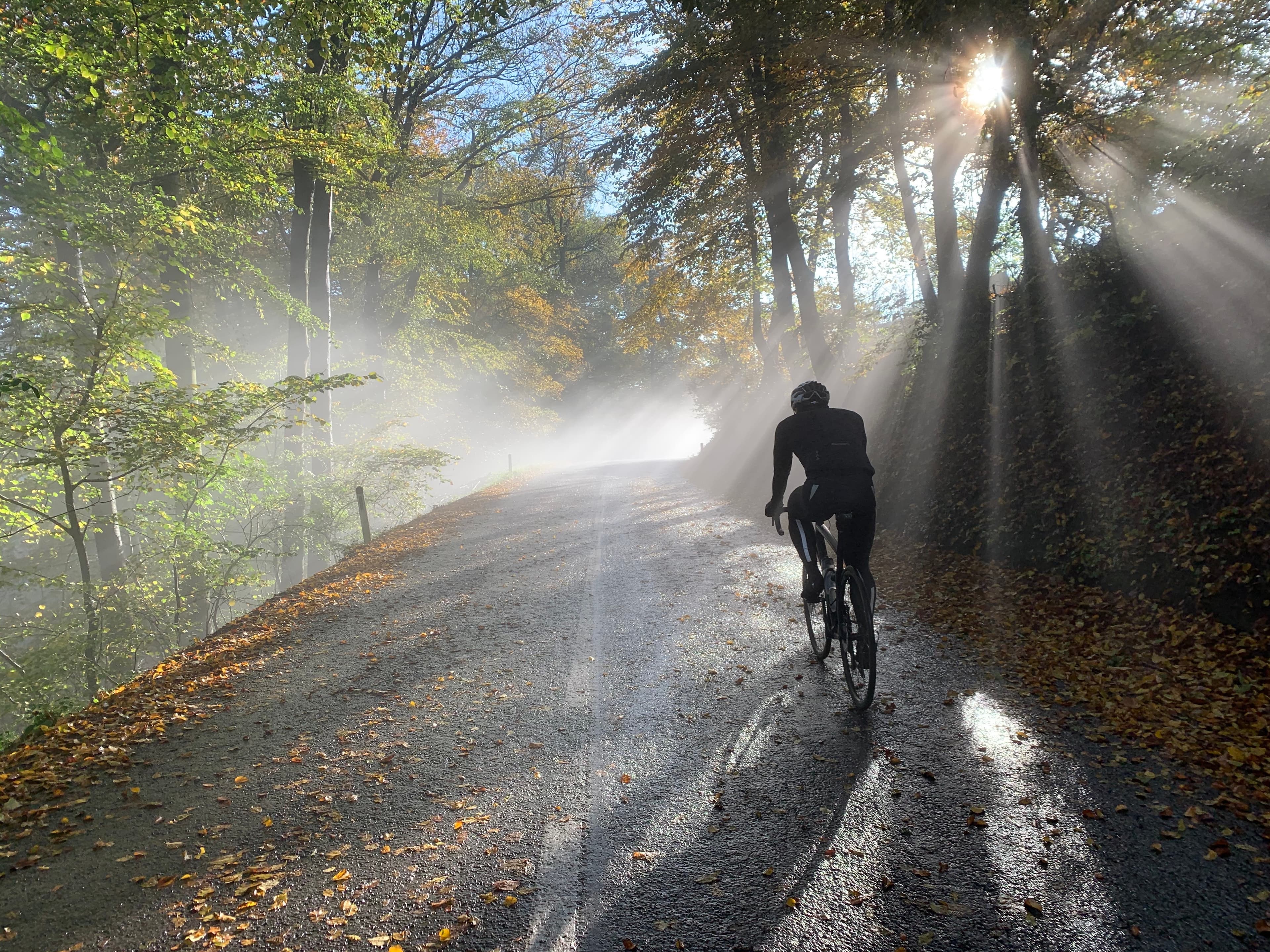 Cycling in Vienna